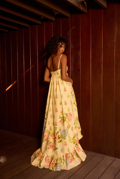 Dhun Yellow Long Dress