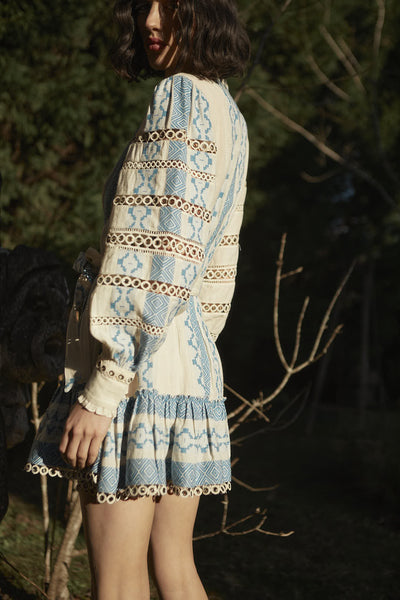 Pehr Shirt Dress