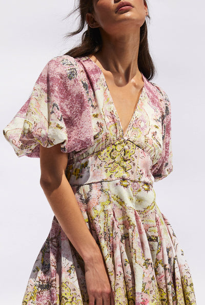 Maya Skater Dress